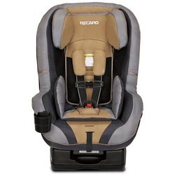 Recaro Roadster Convertible Car Seat - Slate