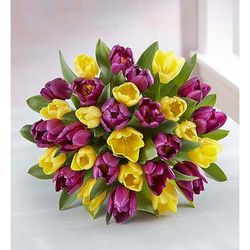 1-800-Flowers Seasonal Gift Delivery Spring Passion Tulip Bouquet 30 Stems, Bouquet Only | Put A Smile On Their Face