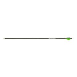 Gold Tip Warrior 340 2 inch Raptor Vanes 72CT WAR340A272