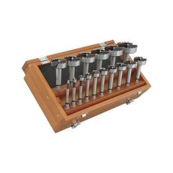 Steelex 16 pc. Forstner Hex Shank Bit Set 1/4in 2-1/8in D3573