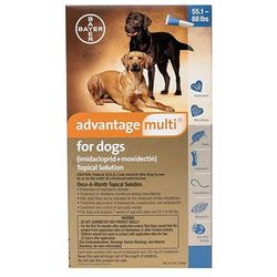 Advantage Multi For Extra Large Dogs Over 25 Kg (Blue) 6 Pack