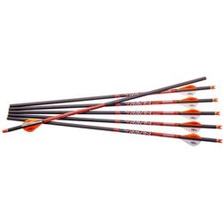 Ravin Xbow Arrow Carbon W/2in Offset Vanes 400gr .003in 6pk R138