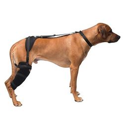 Hot & Cold Therapy Wrap with Gel for Dog Stifles, Large, Black