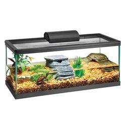 Aquatic Turtle Aquarium Kit, 20 Long