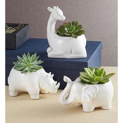 1-800-Flowers Plant Delivery Safari Animal Succulents Set Of 3 | Happiness Delivered To Their Door