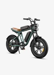 ENGWE M20 (26Ah) Elcykel – Dobbeltbatteri – 20 tommer – Motor 250W – 7 gear – Rækkevidde 150 km – Grøn