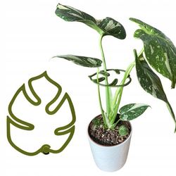 Støtte til planter og blomster MONSTERA STRONG Støttegrebslås S 10 cm