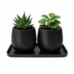 Sæt med 2 mini-urtepotter med sort underkop