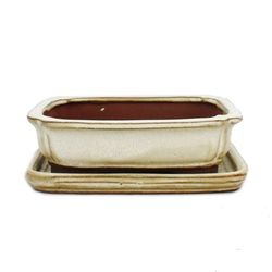 bonsai skål med fat storlek 2 - rektangulär g12 - ljus beige - l 15,5 cm - b 12 cm - h 4,5 cm