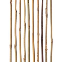 Bambus Plantepinde - Støttestænger - 120 cm - Ø 12–14 mm - 10 stk - Natur