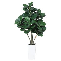 Kunstigt violinfigen træ - Fiddle Leaf Fig 150 cm gulvplante - Multi-stamme - Hvid potte - Naturtro stamme - Inde/ude - Grøn
