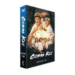 Cobra Kai Sesong 1-6 Komplett DVD Samleboks