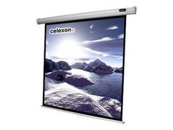 Celexon Economy Manual Screen - Projeksjonsskjerm - takmonterbar, veggmonterbar - 67" (170 cm) - 1:1