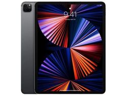 Renovert Apple iPad Pro 12,9" 5. gen 256GB WiFi+Cellular (Space Gray) – 2021 – Tilstand: Grad B