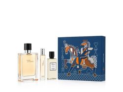 Hermès Terre D'Hermès EDT 100 ml + EDT 15 ml + AS 40 ml (man)