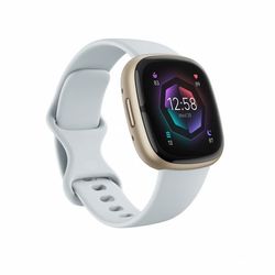 Fitbit Sense 2 Blå Guld Smart ur