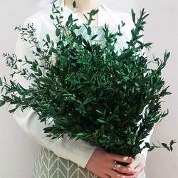 Eucalyptusstængler, fine grønne blade, 120g naturlig dekoration