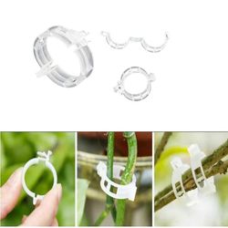 Klips for å støtte planter / espalier 100-pakning Transparent