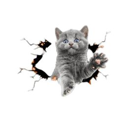 Kreativ Bil 3D Stereo Liten Grå Katt Klistremerke (2 stk) - Søt Dekor for Bilen Din