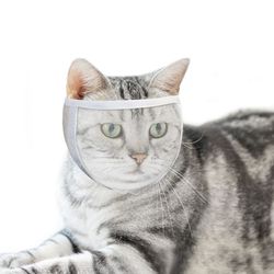 Kattenekurv for trimming og behandling White M