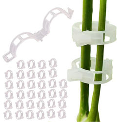 Planteklips for Plantestøtte - 100-pak - Transparent
