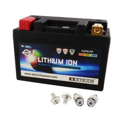 LTM9 Skyrich Li-ion-batteri med overopladningsindikator og beskyttelse