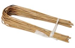 Taivutettu bambu 120 cm 12/14 mm /25 kpl/