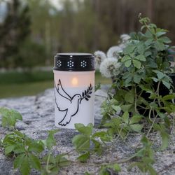 Gravljus Dove LED