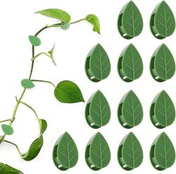 50 selvklæbende planteholdere, planteforbindere, klatreplanteklemmer, vægbeslag, plantestøtter og planteklemmer