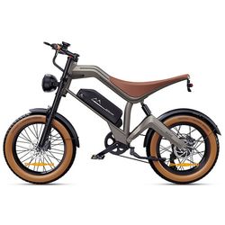 F-WHEEL M20 Elcykel 250W Motor, 48V 18,2Ah Batteri, 40–60 km Räckvidd, 20*4,0 tums Däck, APP Light Terräng Elcykel