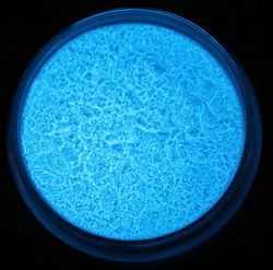 Blå - Glitterpudder der lyser i mørket / Glow in the dark