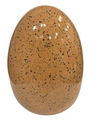Æg Keramik Dekoration 14 cm Gul