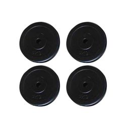 vidaXL Vektskiver 4 stk 20 kg