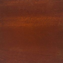 vidaXL Høybed 100x100x18,5 cm cortenstål