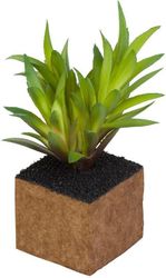 Plante Kunstig mini Kub Cult Design