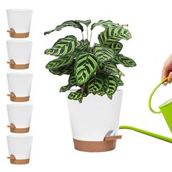 10-Pak - Selvvannende potte / Selvvanning / Blomstervanner - 10-Pack