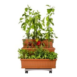 Bama Orto Di Kit Plantekasser 80x74x73 cm Terracotta