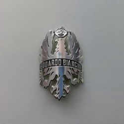 Metalliseospäämerkin tarratarra BMX polkupyörän maantiepyörän runkoon Varren etuhaarukka kiinteä vaihdeputki DIY -gt Malli 7 Hopea Bianchi