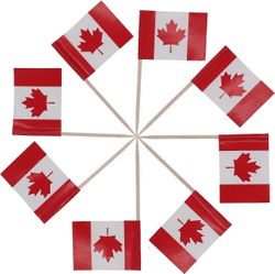 Phwj 100 kpl cocktailhammastikkuja lippukakun päälliset poimintoja mini pieni lippu cupcake poimia tikkuja cupcake päälliset koristeet (Kanada)