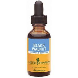 Herb Pharm musta saksanpähkinäuute, 4 oz (1 kpl pakkaus)