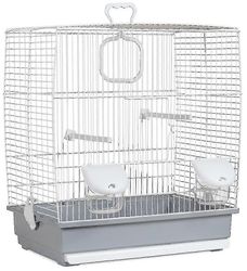 Lintuhäkki (linnut, häkit ja linnut, häkit)