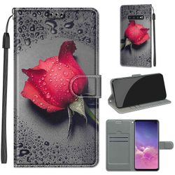 Foxdock Etui til Samsung Galaxy S10 Love Rose Mobile Cover