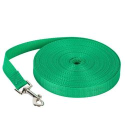 Nylon Pet Hund Bly Snor, 2cm * 1,5 meter grøn farve