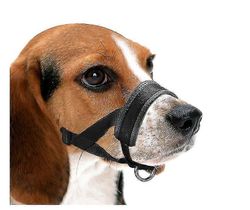 Hellävarainen kuonosuoja koirille - estää puremisen Ei-toivottu pureskelu1kplMusta