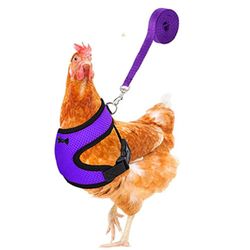 Boeyaa Mode Kylling Duck Vest Høne Bælte Kæledyr Sele Matchende Kraver Bue Lilla XS