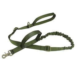 Udendørs Nylon Hund Snor grøn