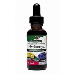 Nature's Answer Luonnon vastaus Hortensian juuriuute, 1 oz (1 kpl pakkaus)