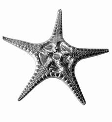 Wentworth Støbt tin Lille Fancy Søstjerne Ornament - JK30S