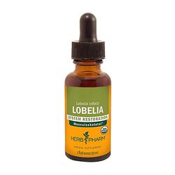 Herb Pharm Lobelia Extract, 1 Oz (1 kpl pakkaus)