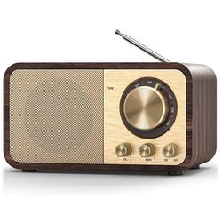 FM-radio vastaanotolla, kannettava Bluetooth-transistoriradio 5 W kaiuttimella, ladattava Vintage Ra Kuten